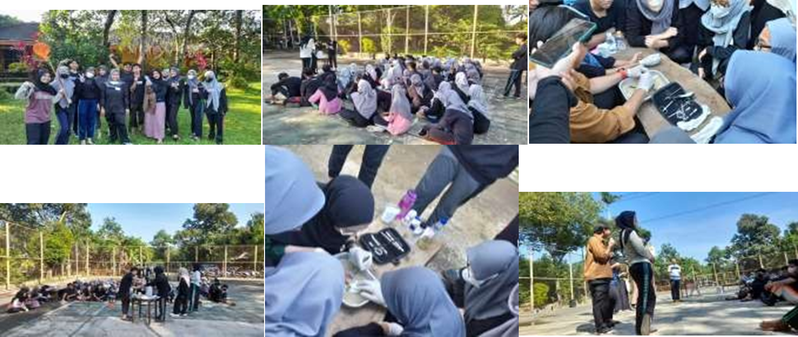 Picture2 Picture2